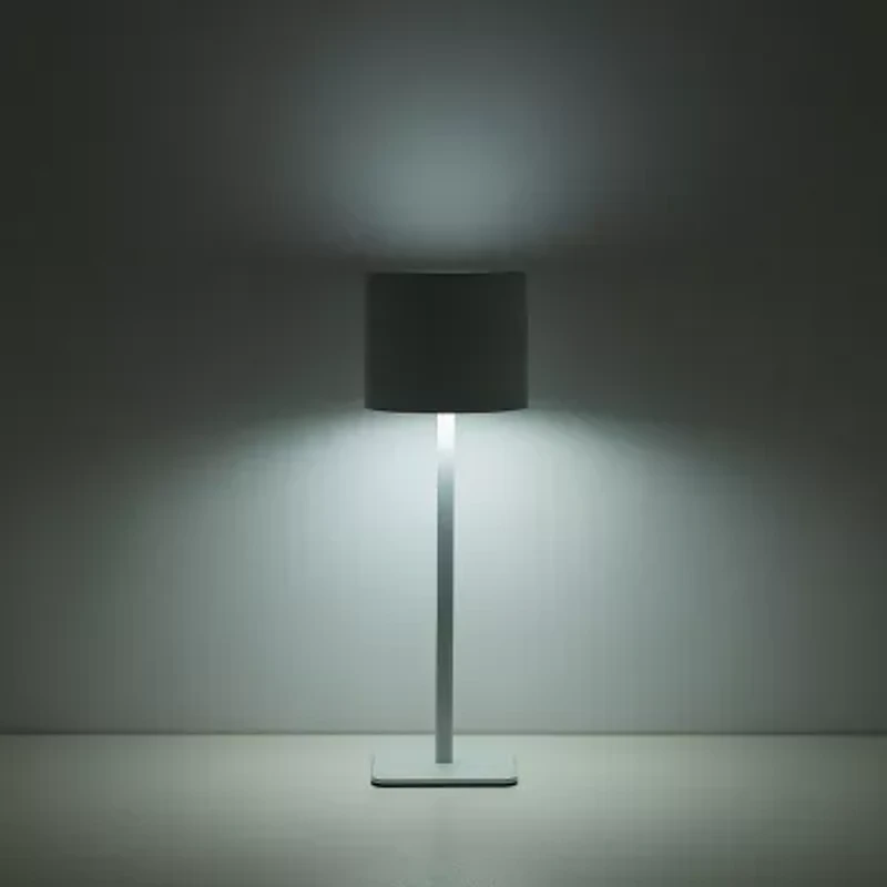 AEROPOSTALE White Stainless Steel Table Lamp
