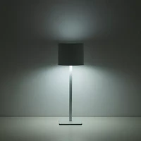 AEROPOSTALE White Stainless Steel Table Lamp