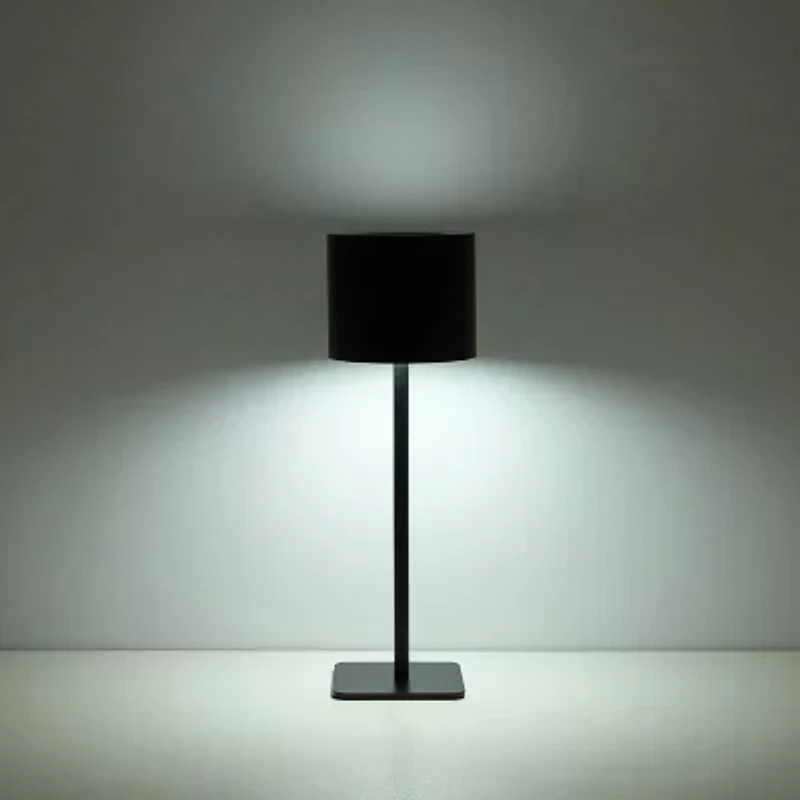 AEROPOSTALE Black Stainless Steel Table Lamp
