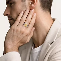 Harry Potter (F / Si2) Mens 1/10 CT. T.W. Lab Grown White Diamond 14K Gold Over Silver Signet Ring