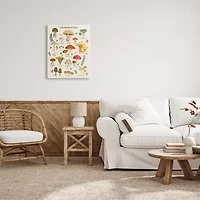 Stupell Industries Foraging Mushrooms Studies Canvas Art