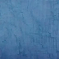 No 918 Erica Rod Pocket Sheer Single Curtain Panel