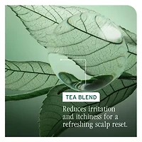 Biolage Scalp Sync Anti-Dandruff Shampoo 33.8 oz.