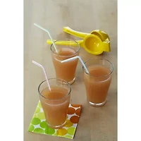 IMUSA Manual Lemon Squeezer