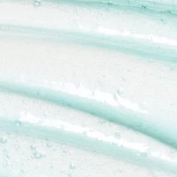 L'ANZA Scalp Therapy Balancing Shampoo