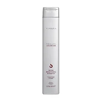 L'ANZA Healing Colorcare Purple Shampoo