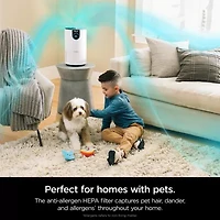 Shark True Hepa Air Purifier