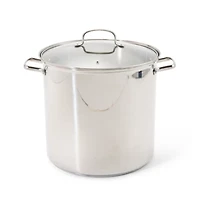 Cooks Stainless Steel 16-qt. Stockpot
