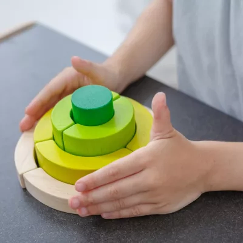 Curve Blocks Preschool Toy Brain Game