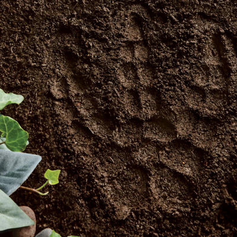 Mindware Paint Your Own Stepping Stone Set- Dinosaur Footprint Painting Kit