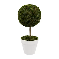 Northlight 16" Moss Ball Potted Tree Artificial Plant