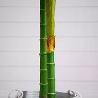 Nearly Natural 8' Golden Cane Palm Artificial Plant