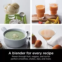 Ninja® Professional Blender 1000W BL610