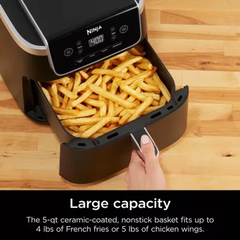 Ninja Pro 4-In-1 5 Qt Air Fryer