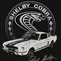 Novelty Mens Crew Neck Short Sleeve Regular Fit Graphic T-Shirt