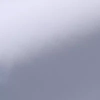 Haggar Smart Wash Mens Slim Fit Easy Care Long Sleeve Dress Shirt