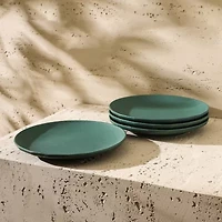Stone + Lain Rio 4-pc. Stoneware Salad Plate