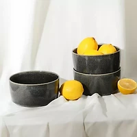 Stone + Lain Eden 4-pc. Stoneware Cereal Bowl