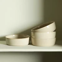 Stone + Lain Eden 4-pc. Stoneware Pasta Bowl