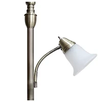 2 Light Floor Lamp with Marbled Glass Shades