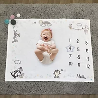 Warner Bros Looney Tunes Baby Milestone Blanket