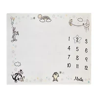 Warner Bros Looney Tunes Baby Milestone Blanket