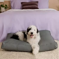 Ella Jayne Waterproof-Top Pet Bed