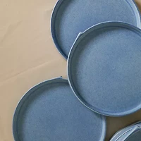 Stone + Lain Bao 4-pc. Stoneware Dinner Plate