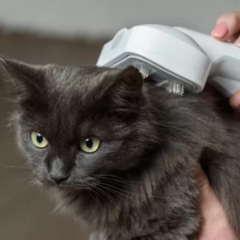 Ewbank® Pet Hair Grooming Cannister Vacuum