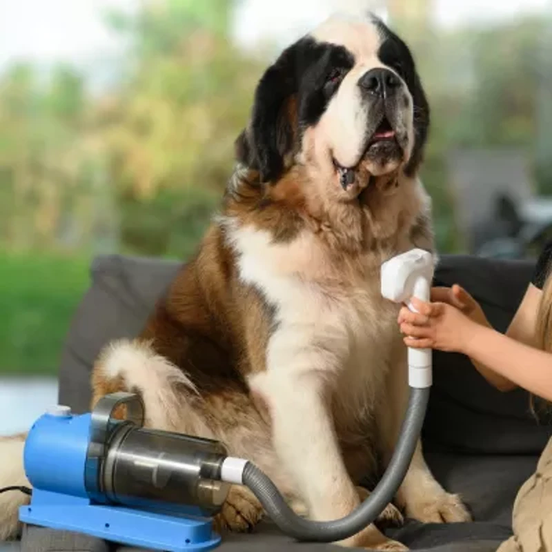 Ewbank® Pet Hair Grooming Cannister Vacuum