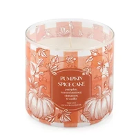 Distant Lands 14 Oz Pumpkin Spice Cake 3-Wick Scented Jar Candle