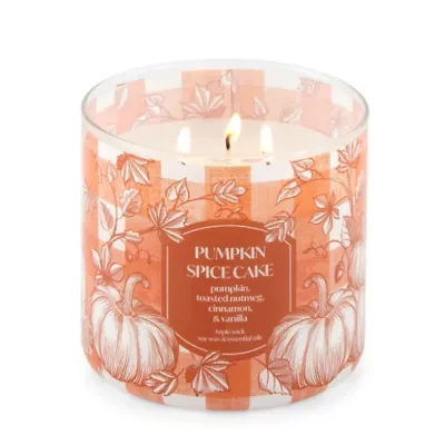 Distant Lands 14 Oz Pumpkin Spice Cake 3-Wick Scented Jar Candle