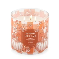 Distant Lands 14 Oz Pumpkin Spice Cake 3-Wick Scented Jar Candle