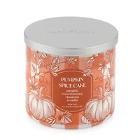 Distant Lands 14 Oz Pumpkin Spice Cake 3-Wick Scented Jar Candle