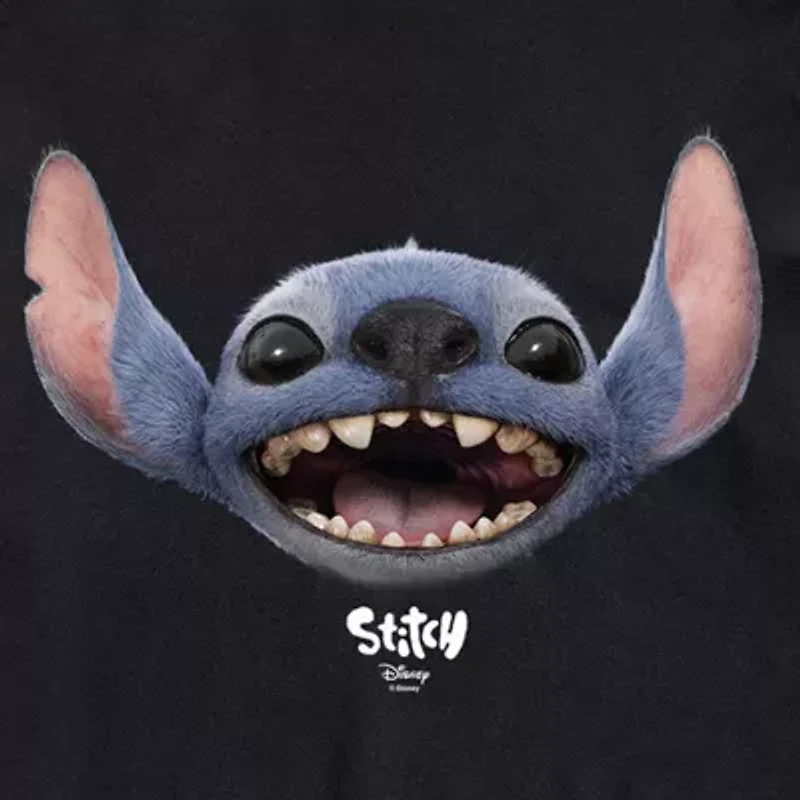 Unisex Adult Crew Neck Short Sleeve Classic Fit Lilo & Stitch Big and Tall Graphic T-Shirt