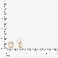 Liz Claiborne Gold Tone Womens Drop Earrings