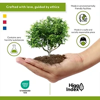 Color Sense 100% Cotton Cool & Crisp Lightweight 2 Fitted Sheets Sheet