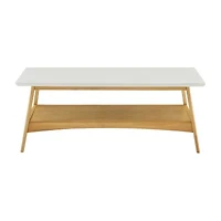 Madison Park Avalon Living Room Collection Storage Coffee Table