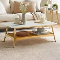Madison Park Avalon Living Room Collection Storage Coffee Table