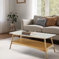 Madison Park Avalon Living Room Collection Storage Coffee Table