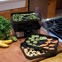 Weston 6 Tray Digital Dehydrator
