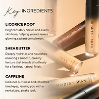 Shades By Shan Concealer