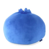 Forever 21 Blueberry Round Throw Pillow