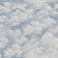 Tempaper Clouds Peel & Stick Wallpaper