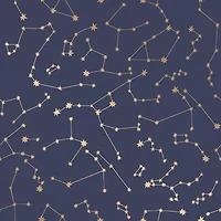 Tempaper Constellation Peel & Stick Wallpaper