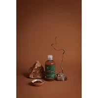 Paul Mitchell Tea Tree Special Color Shampoo 10.1 oz.