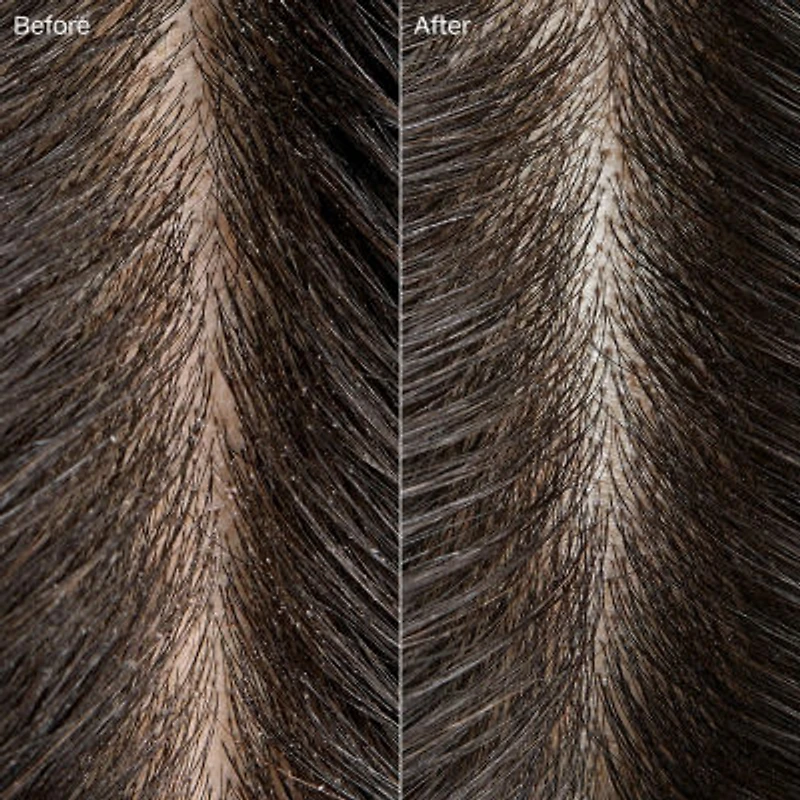 Paul Mitchell Tea Tree Special Detox Kombucha Rinse Scalp Treatment 6.8 oz.