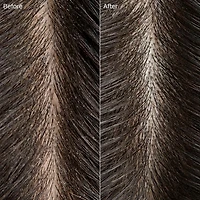 Paul Mitchell Tea Tree Special Detox Kombucha Rinse Scalp Treatment 6.8 oz.