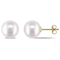 White Cultured Freshwater Pearl 14K Yellow Gold Stud Earrings 