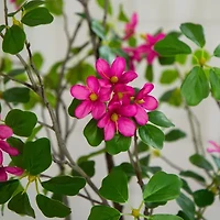 Nearly Natural 5ft Dogwood Indoor Artificial Tree